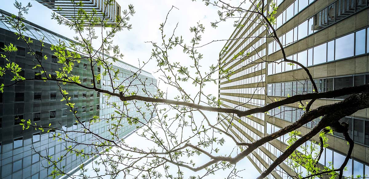 Glazed buildings with a reflection of some trees